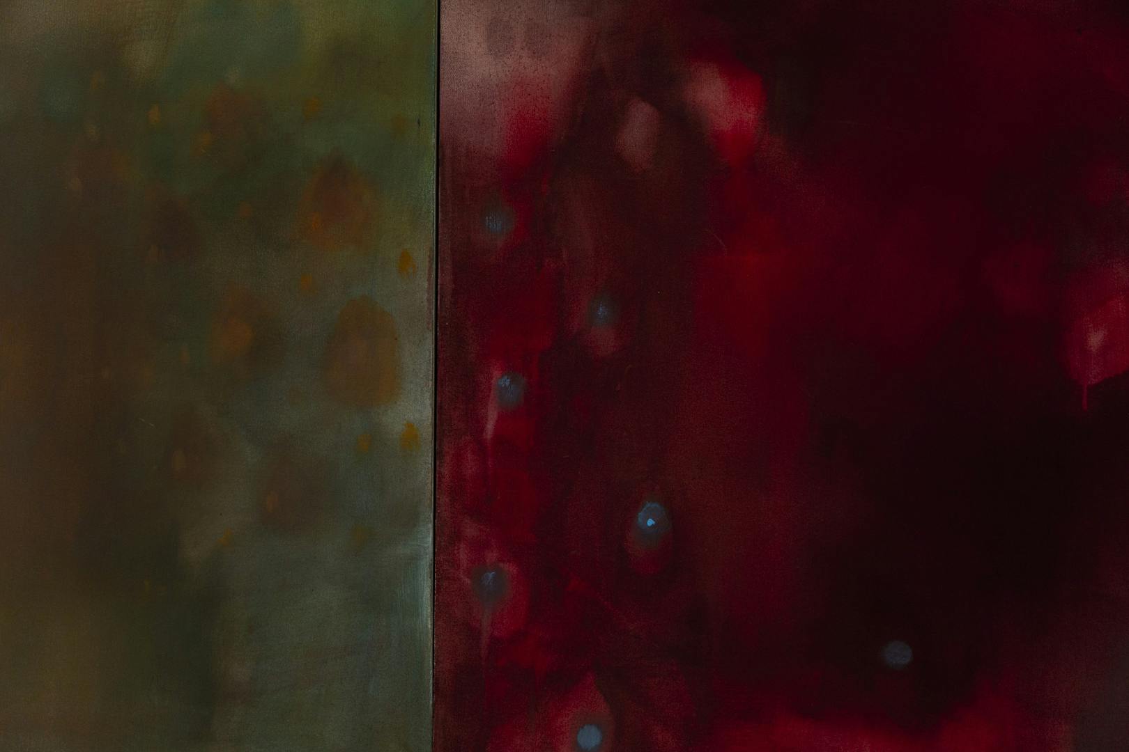 Image shows a close up of two of Jo Hooper's paintings with one on the left brown, orange and green with the one on the right a dark and vivid red