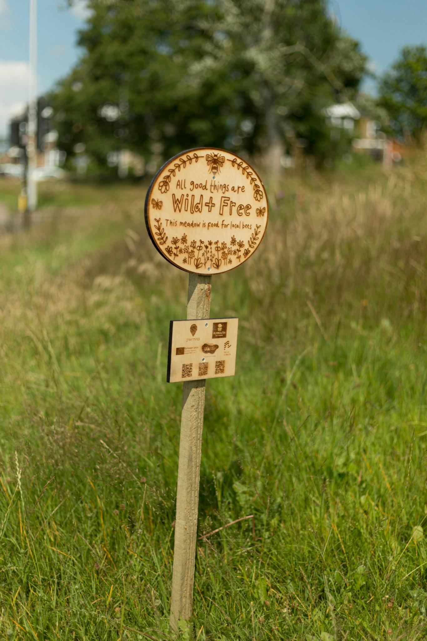 Wildflower meadow sign designed by Genevieve Stewart Image Credit Ray Goodwin