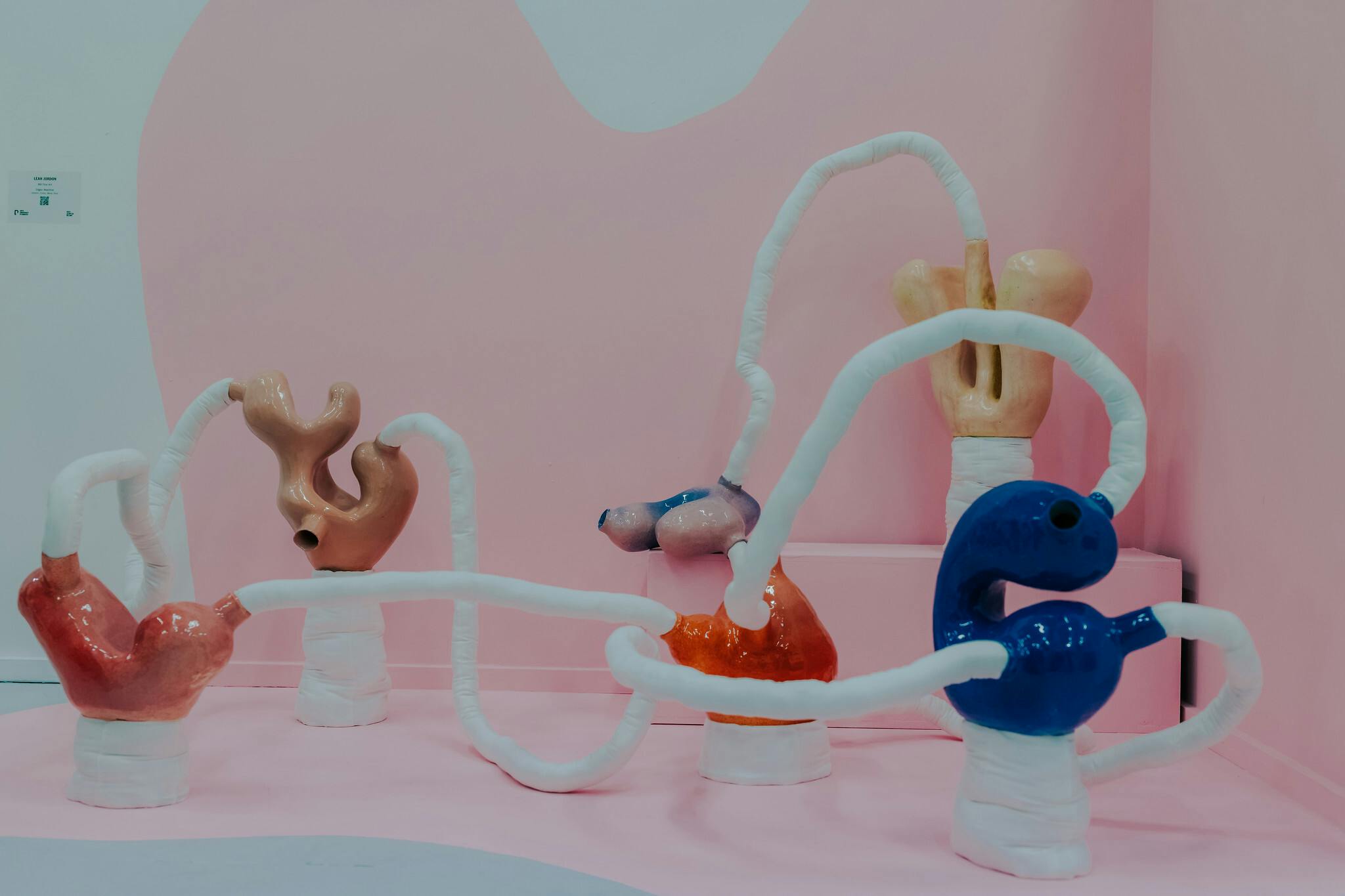 A number of sculptured items that are brightly coloured red and blue and yellow with long white tubes coming out of the shapes against a pale pink background