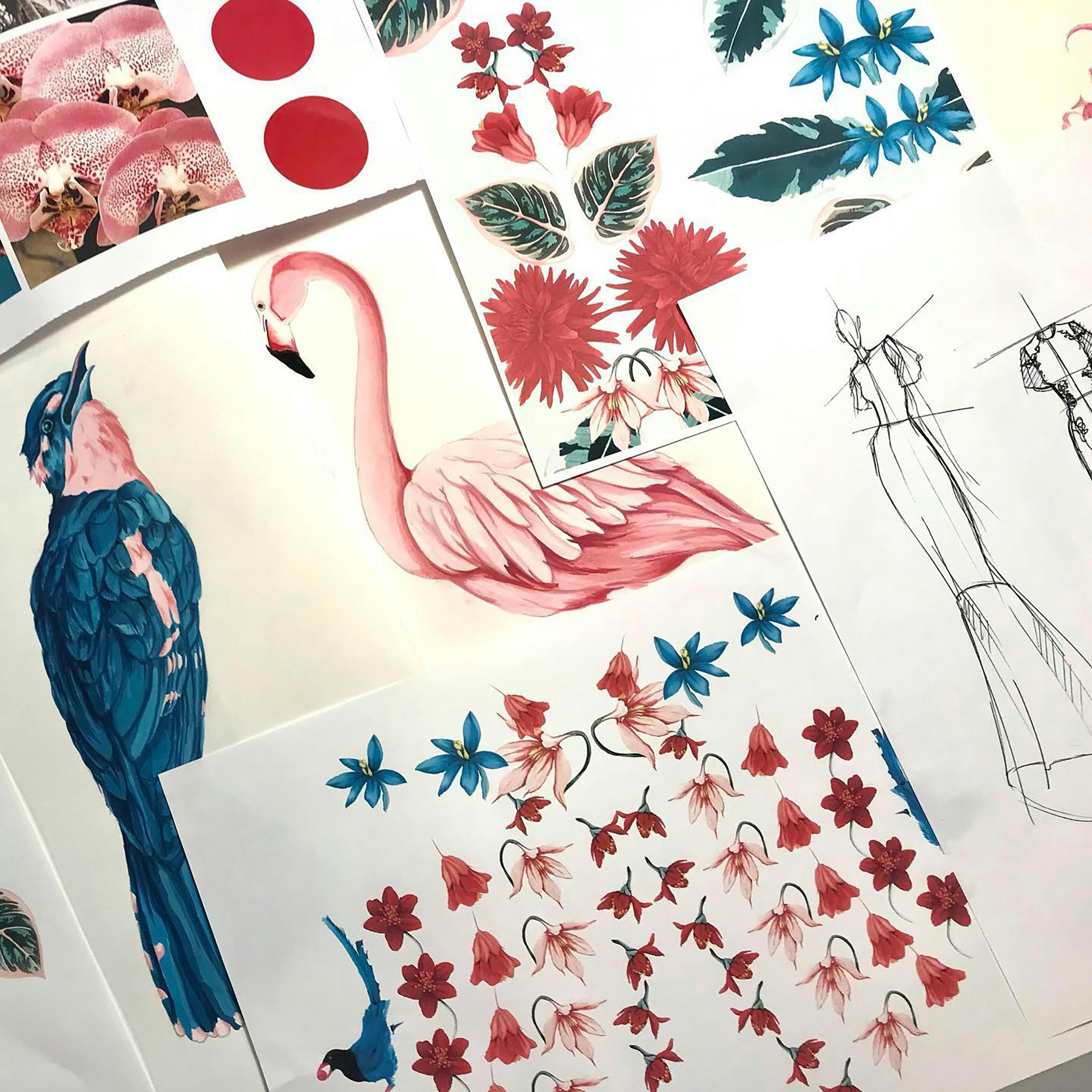 Katie Furzer's work featuring sketches and illustrations of birds such as a flamingo and design elements