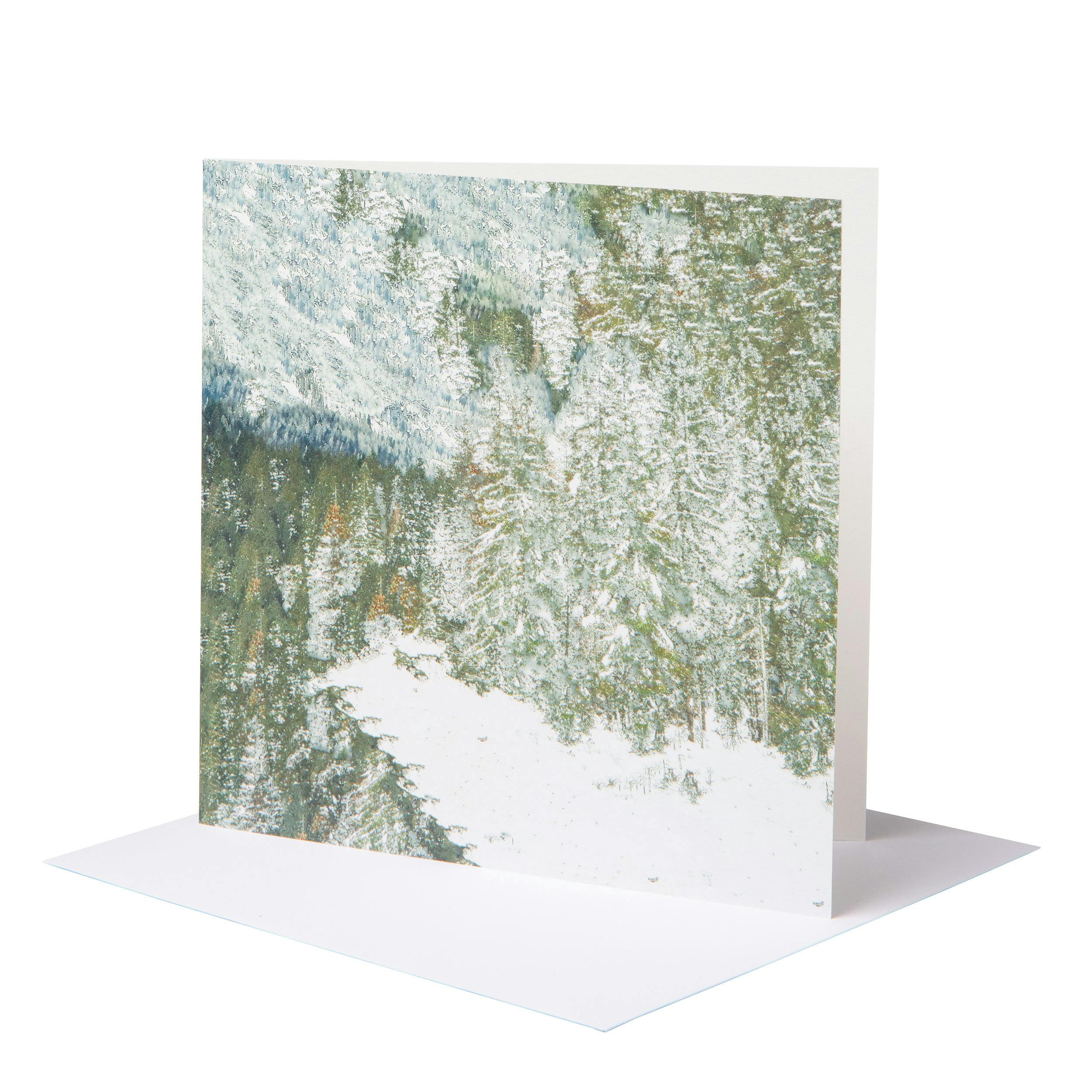 Coniferous forest stella olivier PCA xmas card 27603