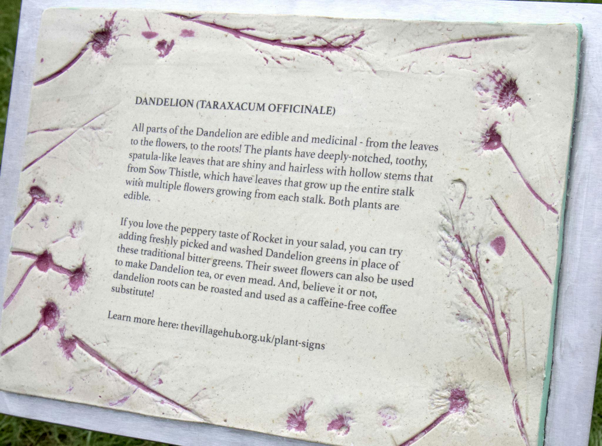 Dandelon plaque in Blockhouse Park